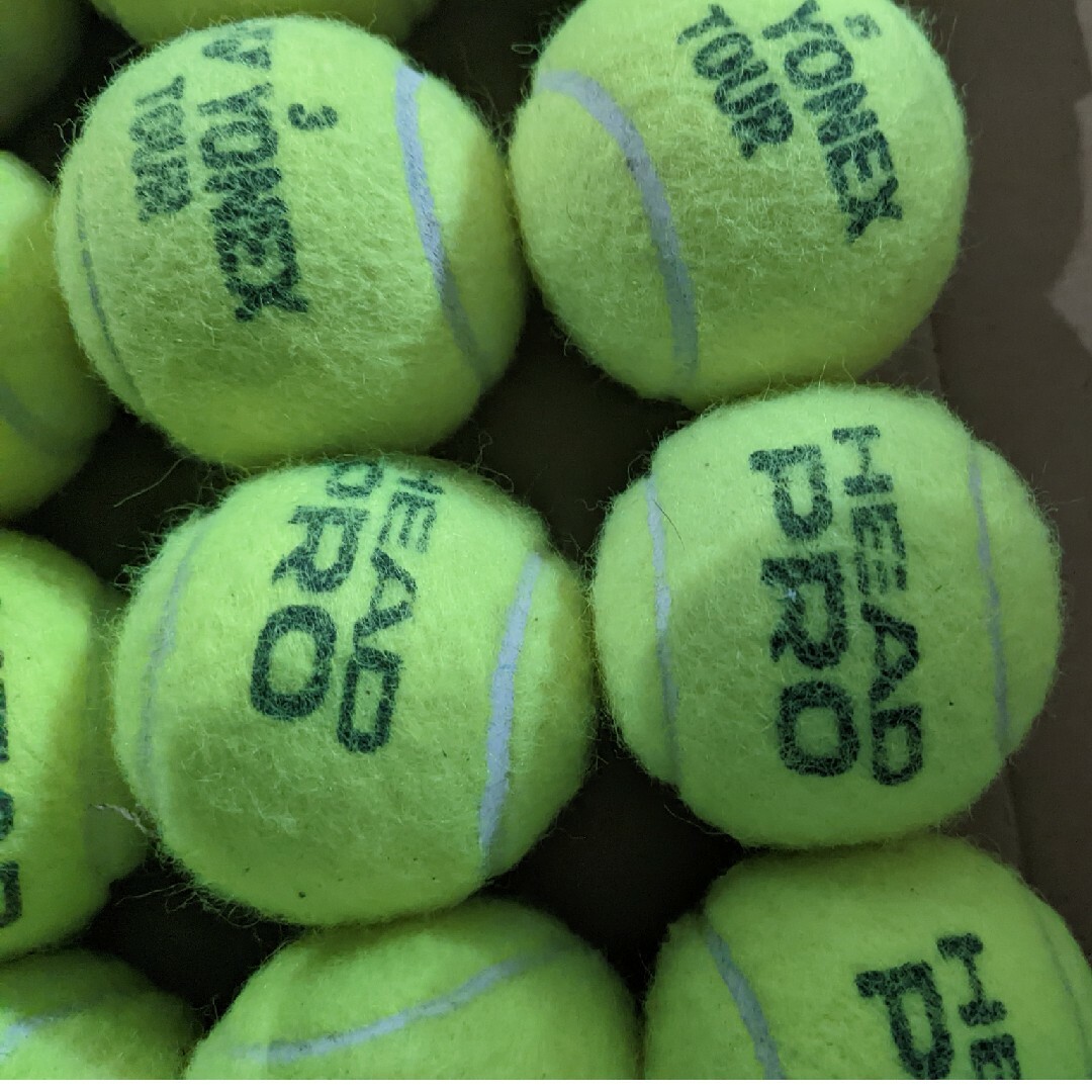 テニスボール1個 & ユーカリ葉 スポーツ/アウトドアのテニス(ボール)の商品写真