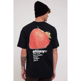 STUSSY - Stussy Strawberry Tee ステューシーTシャツ ストロベリーMの ...