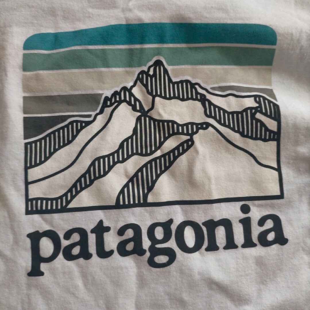 patagonia(パタゴニア)のpatagonia カットソー レディース レディースのトップス(カットソー(長袖/七分))の商品写真