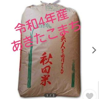 [tomo様　専用]　令和４年産　あきたこまち(玄米)　30キロ(米/穀物)