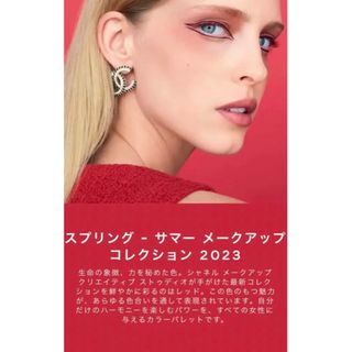 CHANEL - CHANEL シャネル アイ&チークカラー 未使用の通販 by