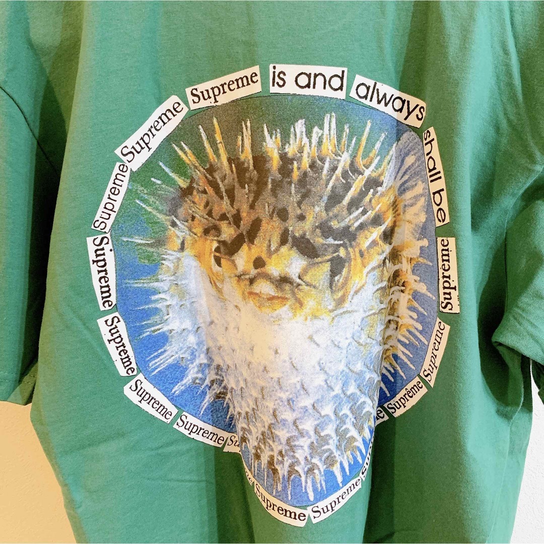 L グリーン シュプリーム ブローフィッシュ Tシャツ Blowfish