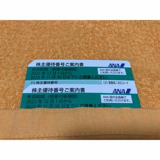 エーエヌエー(ゼンニッポンクウユ)(ANA(全日本空輸))のANA株主優待券2枚　本日発送可能(航空券)