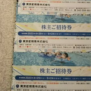 即日発送 東京サマーランドフリーパス2枚(遊園地/テーマパーク)