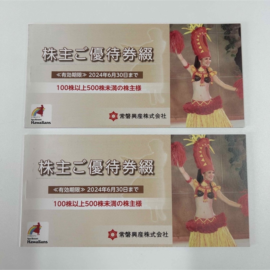 USJ 貸切ナイトチケット 2名分 USJ 貸切ナイトチケット 2名分