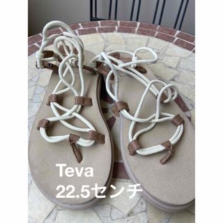 テバ(Teva)のほぼ未使用品　tevaテバ♡インフィニティサンダル5(サンダル)