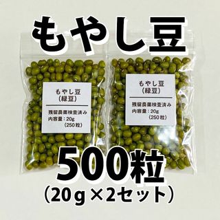 【500粒以上】もやし　緑豆　種 タネ　たね　40g(野菜)