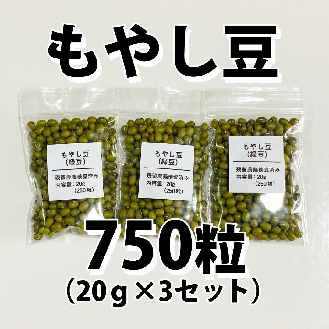 【750粒以上】もやし　緑豆　種 タネ　たね　60g 食品/飲料/酒の食品(野菜)の商品写真