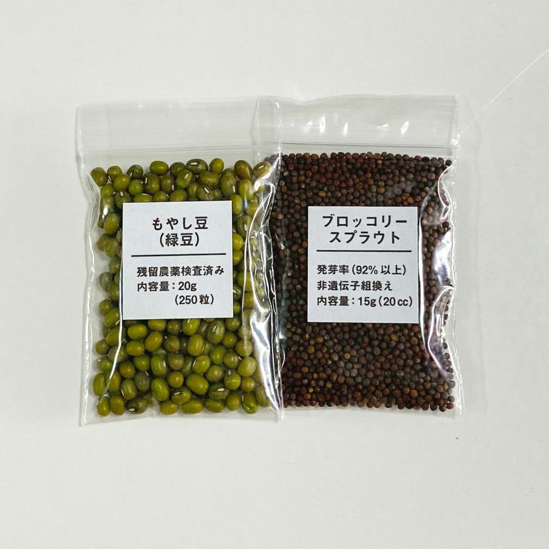 【自由研究】もやし　ブロッコリースプラウト　緑豆　種 タネ　たね 食品/飲料/酒の食品(野菜)の商品写真