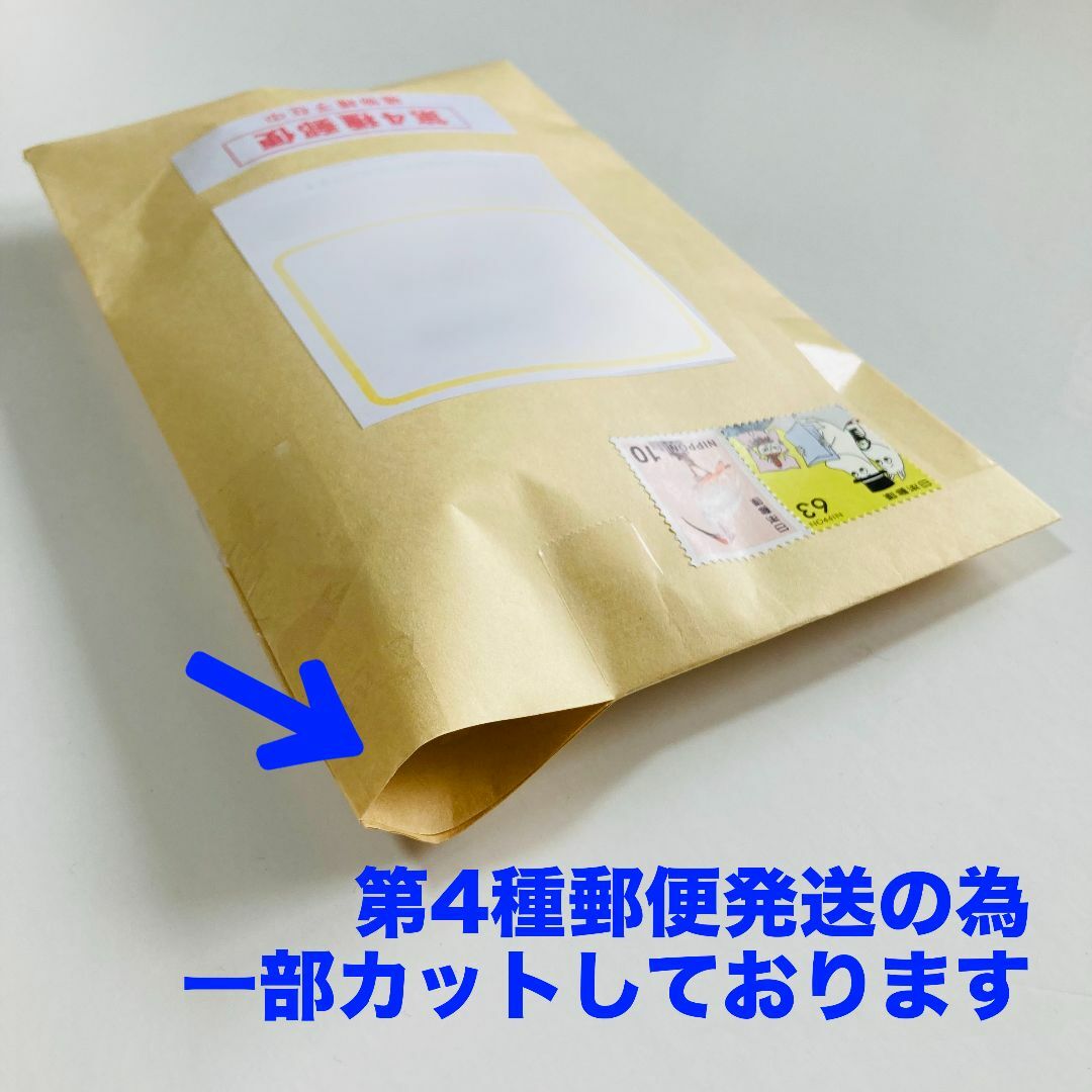 【自由研究】もやし　ブロッコリースプラウト　緑豆　種 タネ　たね 食品/飲料/酒の食品(野菜)の商品写真