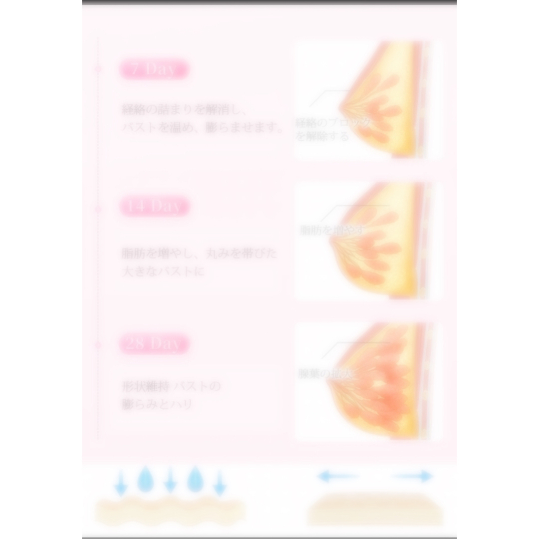 美胸美容液 美胸エッセンス バストアップ 5