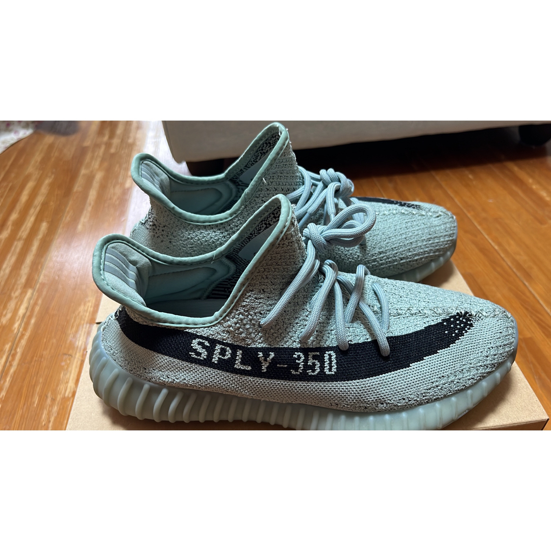 adidas YEEZY Boost 350 V2 Salt イージー