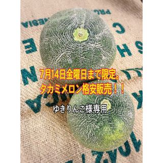 愛知県産渥美半島産タカミメロン2個(野菜)