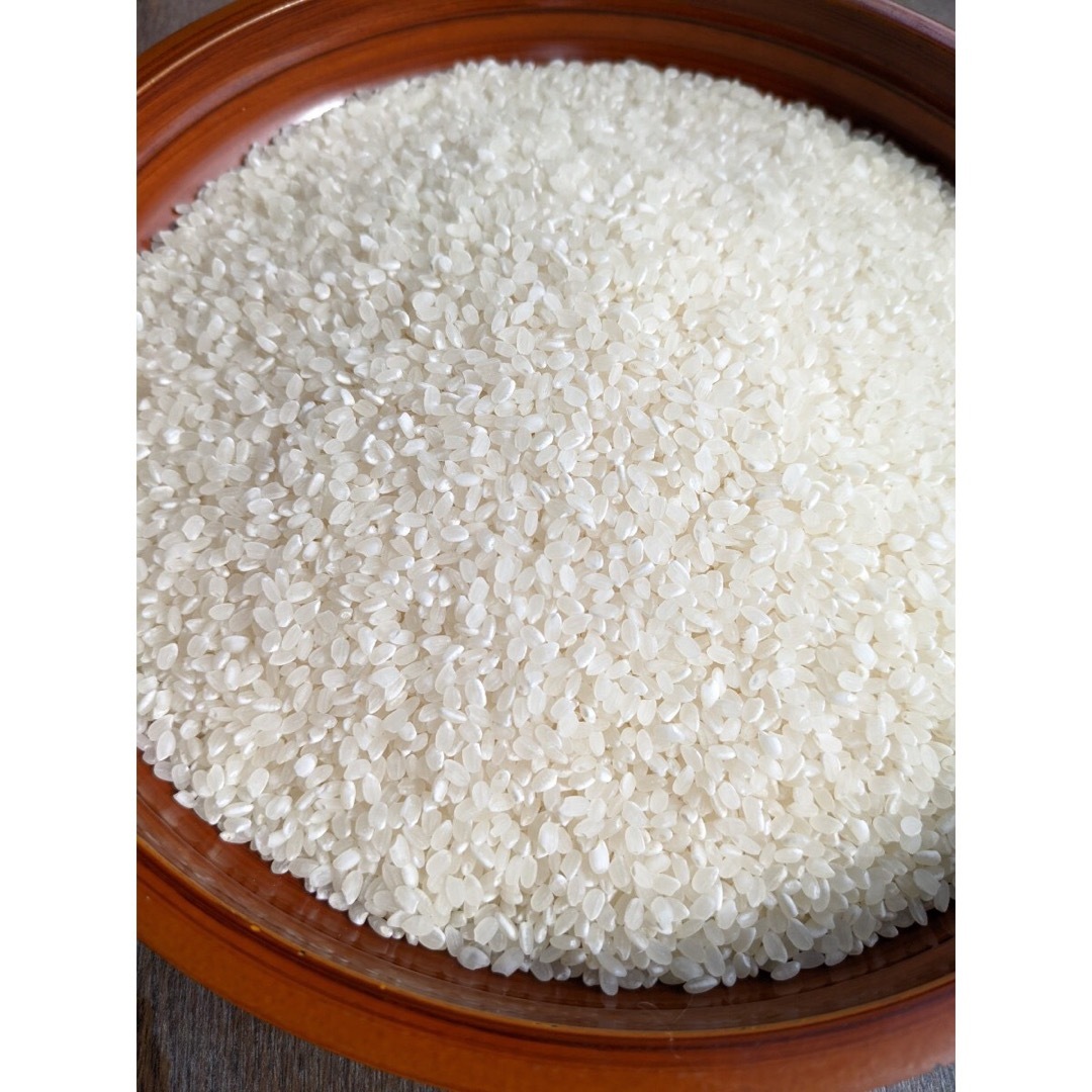 米/穀物令和4年　茨城県産コシヒカリ　玄米　20Kg