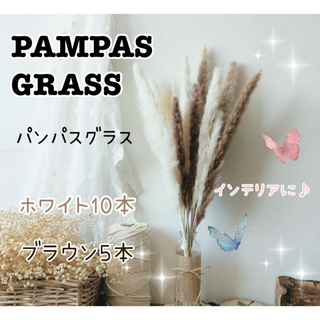 【インテリアに】パンパスグラス ⭐︎ドライフラワー　15本　ハンドメイド　材料(インテリア雑貨)