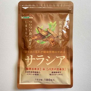 サラシア  炭水化物ブロック 菊芋  ダイエットサプリメント 約3ヵ月分 (その他)