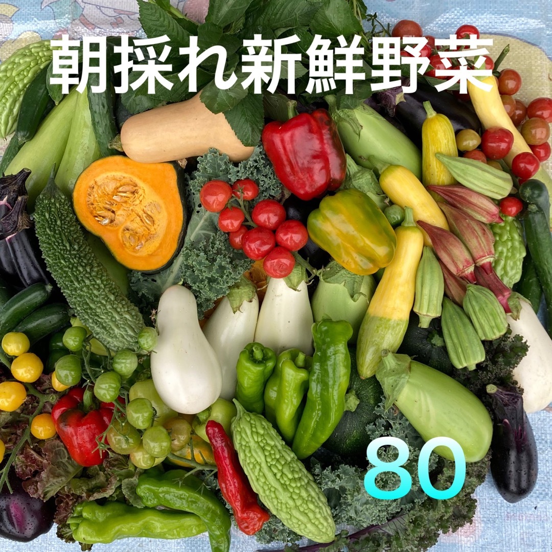 朝採り新鮮野菜発送　80サイズ  食品/飲料/酒の食品(野菜)の商品写真