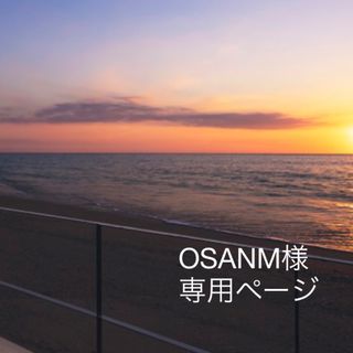 サンダイメジェイソウルブラザーズ(三代目 J Soul Brothers)のOSANM様　専用ページ(その他)