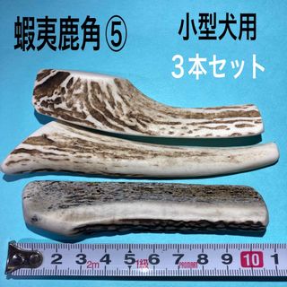 鹿の角　犬用品　小型犬用3本(犬)