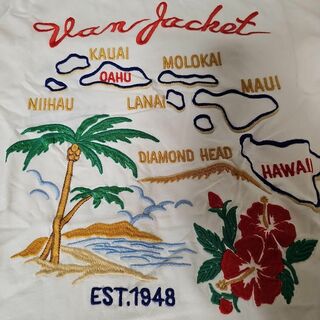 ヴァンヂャケット(VAN Jacket)のバンジャケットハワイアンTシャツ(Tシャツ/カットソー(半袖/袖なし))