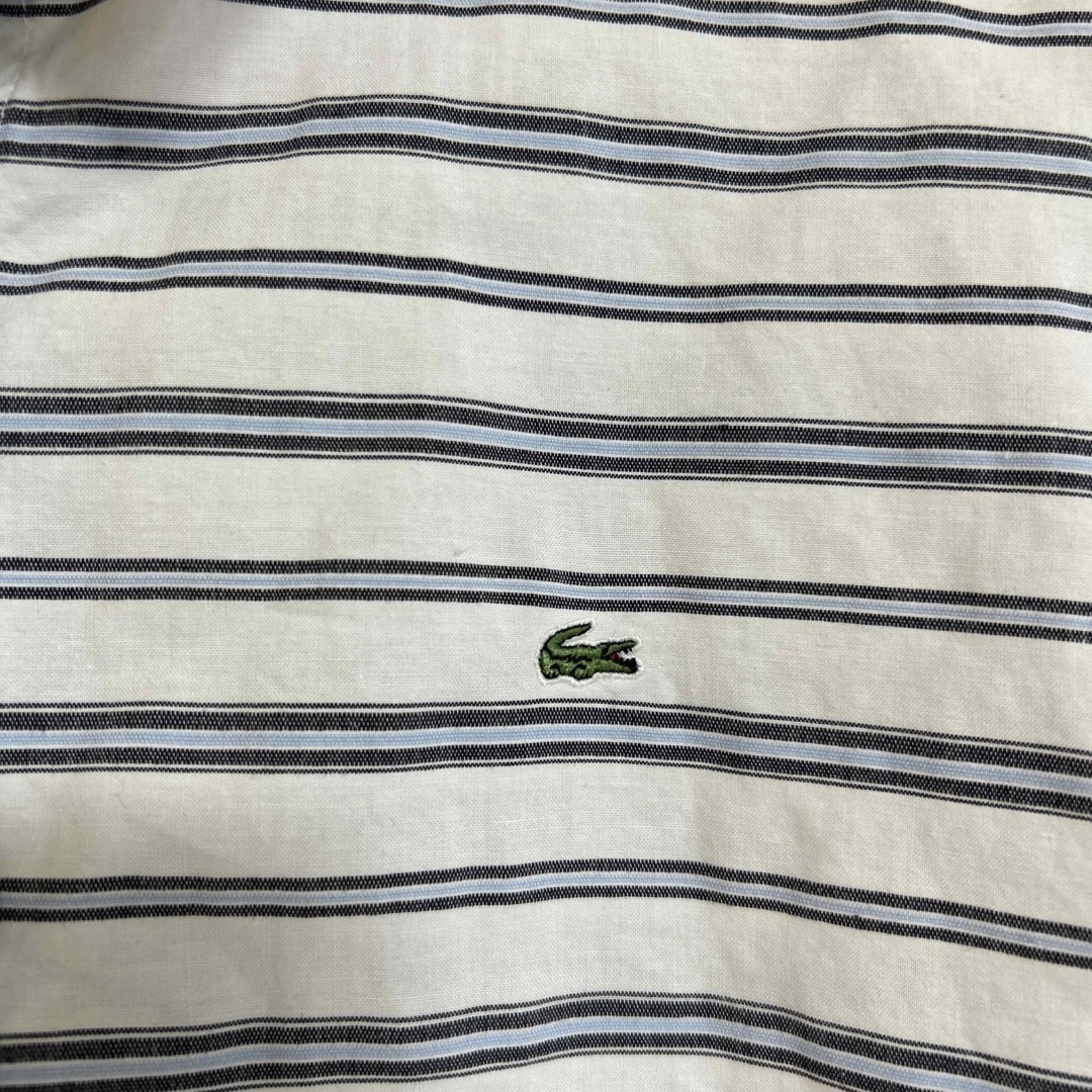 LACOSTE(ラコステ)のラコステ　シャツ レディースのトップス(シャツ/ブラウス(半袖/袖なし))の商品写真