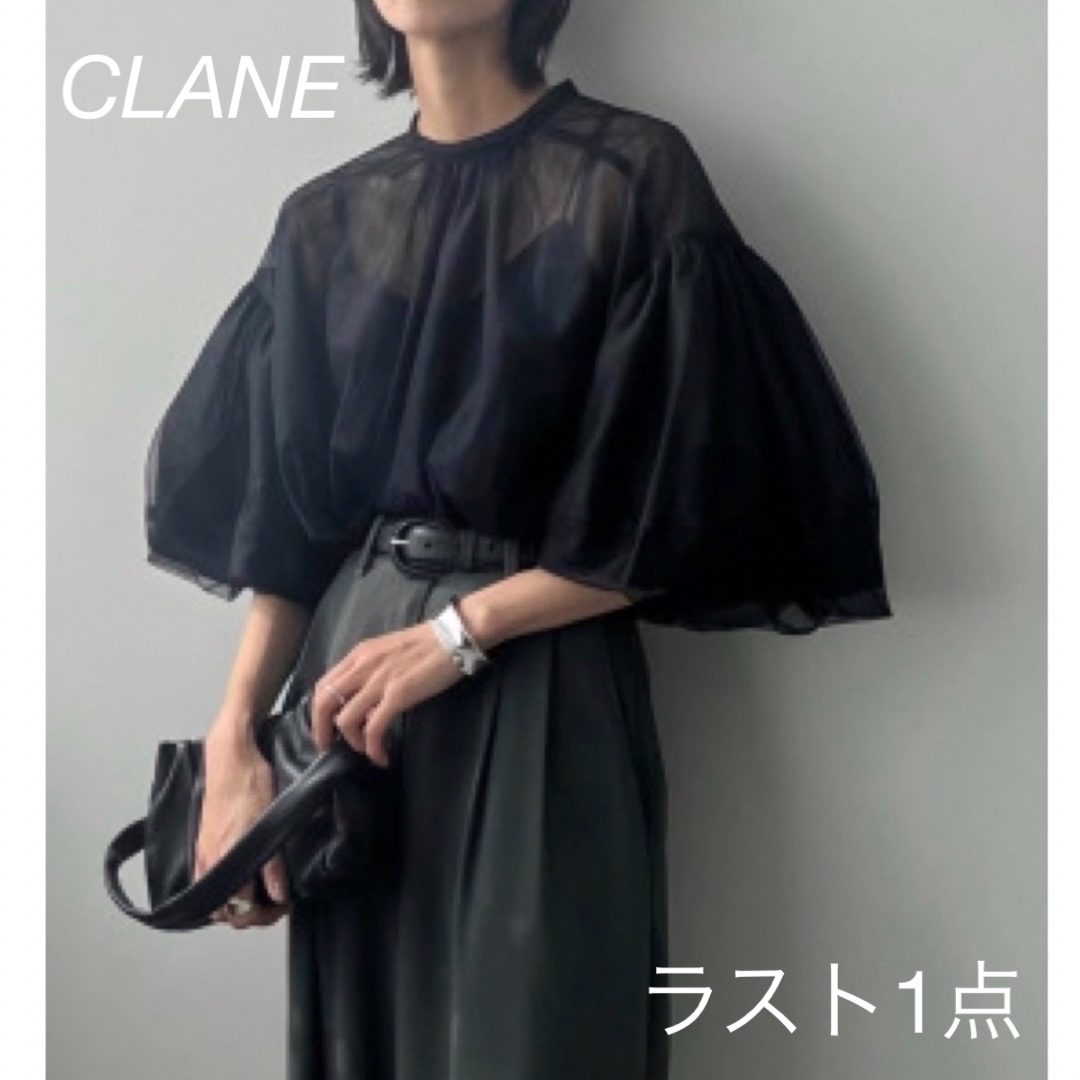 CLANE SHEER TULLE BALOON SLEAVE TOPS