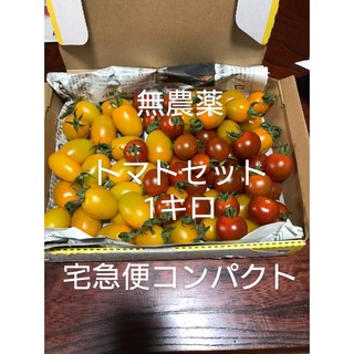 無農薬、トマト　ミニトマト　アイコ　ぺぺ　オレンジベル　トマトセット　プチトマト(野菜)
