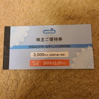 ウエルシアホールディングス　株主優待券 3000円分(ショッピング)