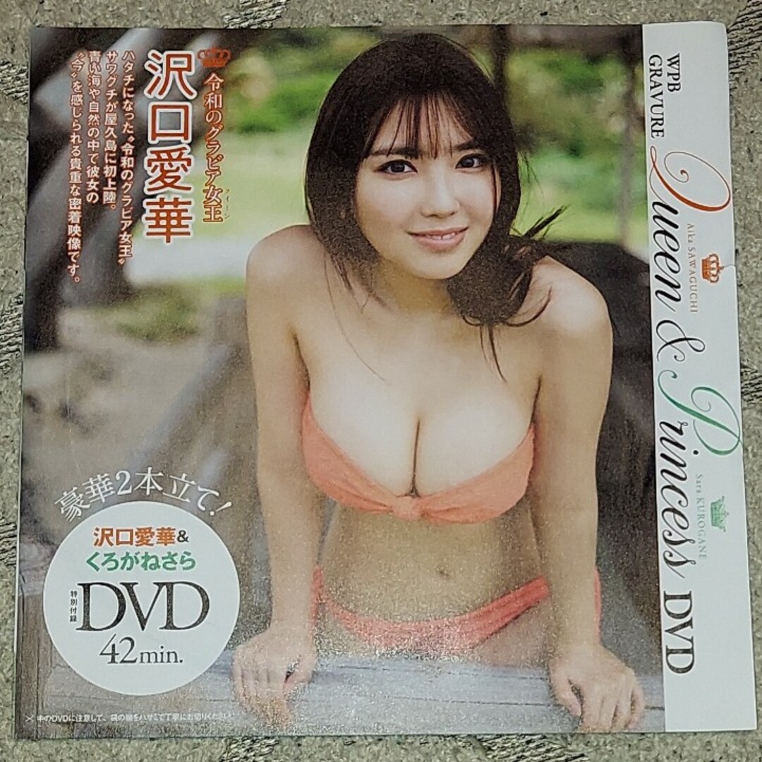 集英社(シュウエイシャ)の週間プレイボーイ付録DVD エンタメ/ホビーのタレントグッズ(女性タレント)の商品写真