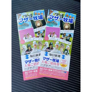 ’23.９/ 30 迄 ◆ 千葉県 マザー牧場 ◆ 入園券２枚セット！(動物園)