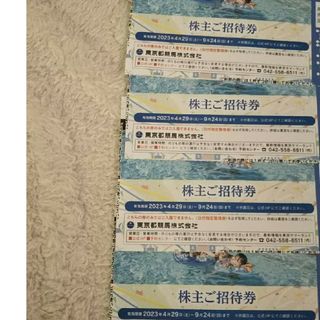即日発送  東京サマーランドフリーパス4枚(遊園地/テーマパーク)