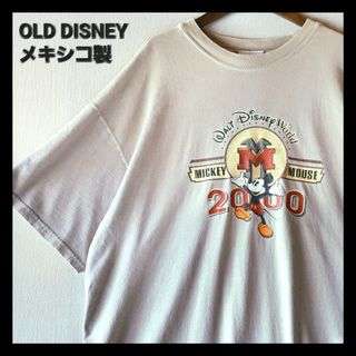 ディズニー バラ Tシャツ・カットソー(メンズ)の通販 21点 | Disneyの ...