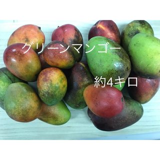 グリーンマンゴー☆約4キロ☆摘果マンゴー☆訳あり(野菜)