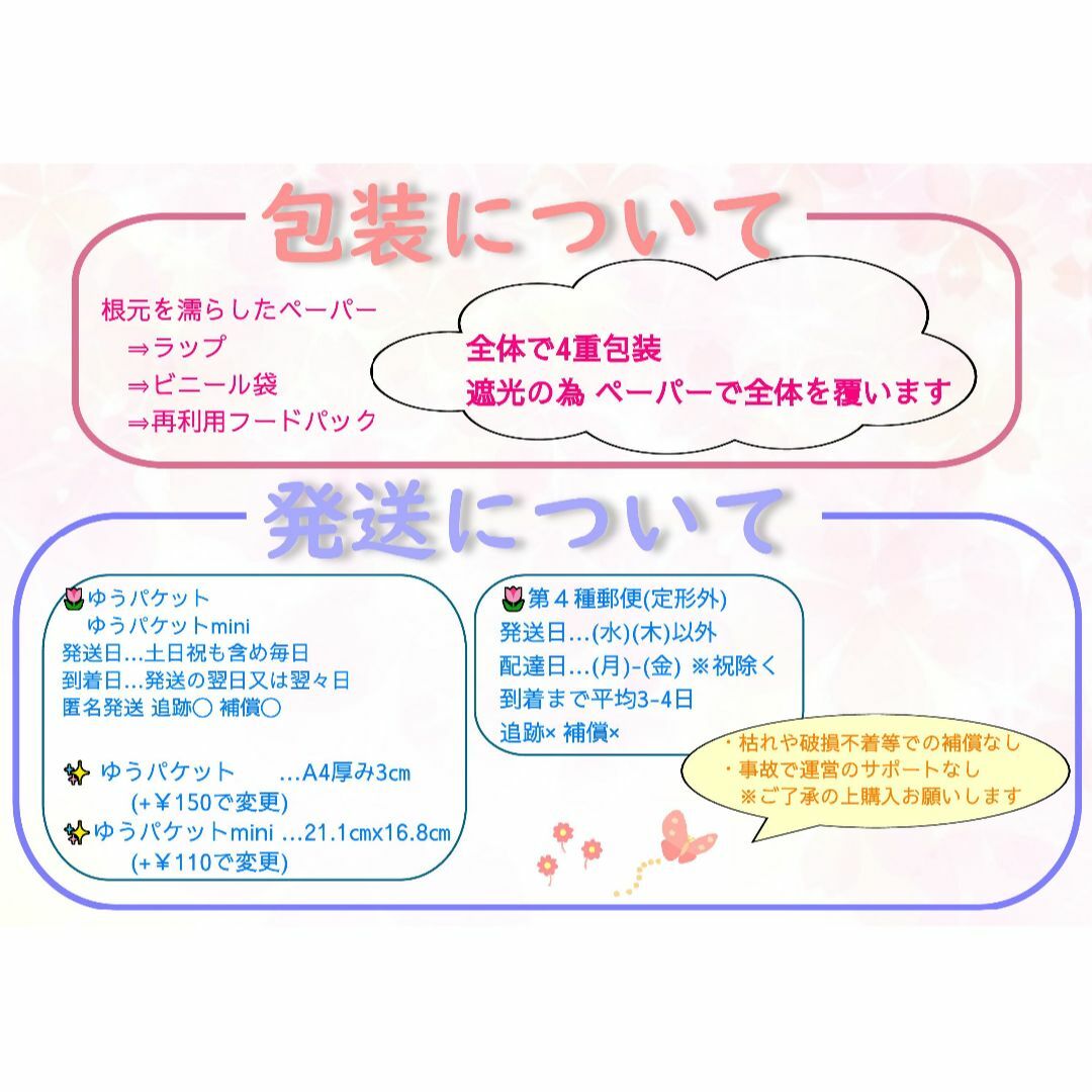 🌷強香☘️⑥ニオイバンマツリｘ5本挿し穂☘️ジャスミンのようなさわやかな香り ハンドメイドのフラワー/ガーデン(プランター)の商品写真