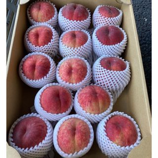 B品白桃🍑長野県産🍑送料無料本州限定(フルーツ)