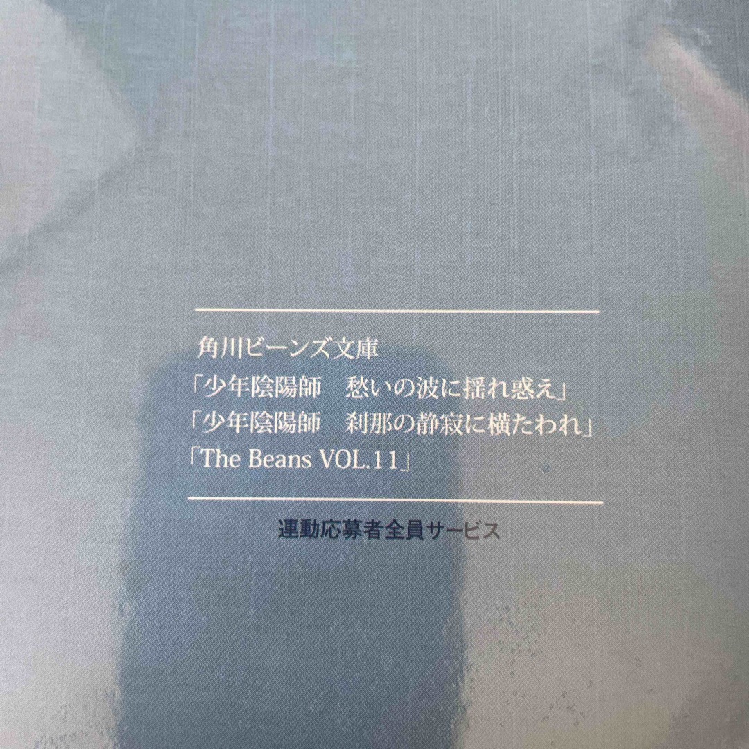 角川書店(カドカワショテン)の少年陰陽師「久方ぶりの再会」❤️ スペシャルCD エンタメ/ホビーのCD(CDブック)の商品写真