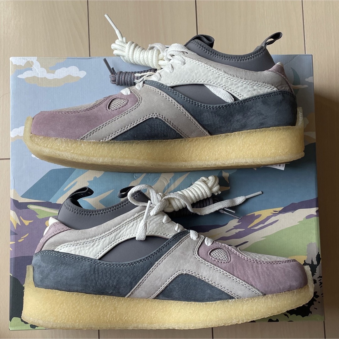 25cm Ronnie Fieg for Clarks Breacon - スニーカー