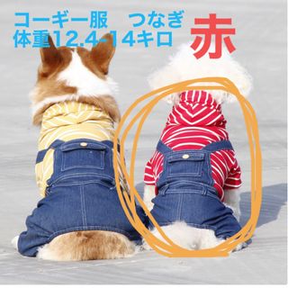 コーギー服　つなぎ　犬服(犬)