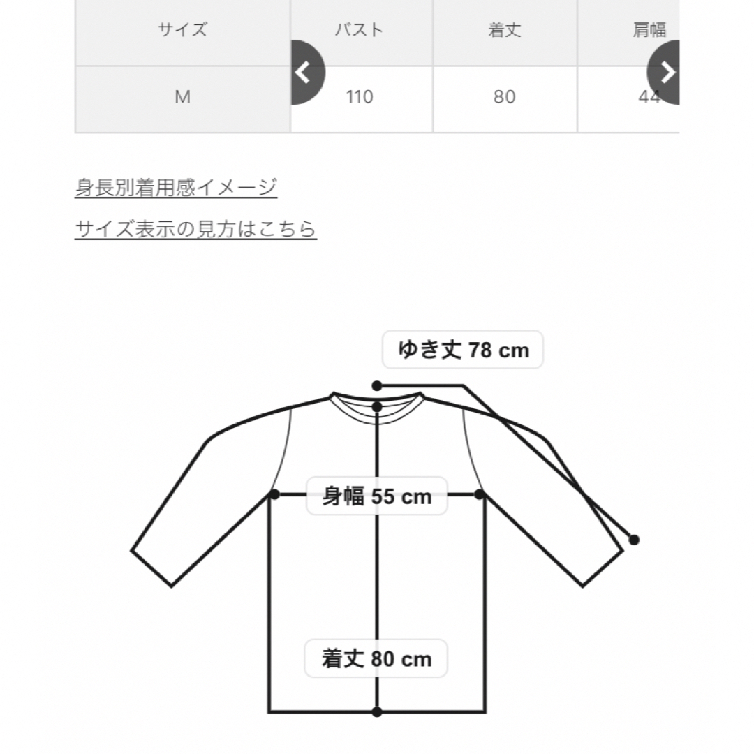 rps(アルピーエス)の麻調シアーラウンドヘムプルオーバー レディースのトップス(シャツ/ブラウス(長袖/七分))の商品写真