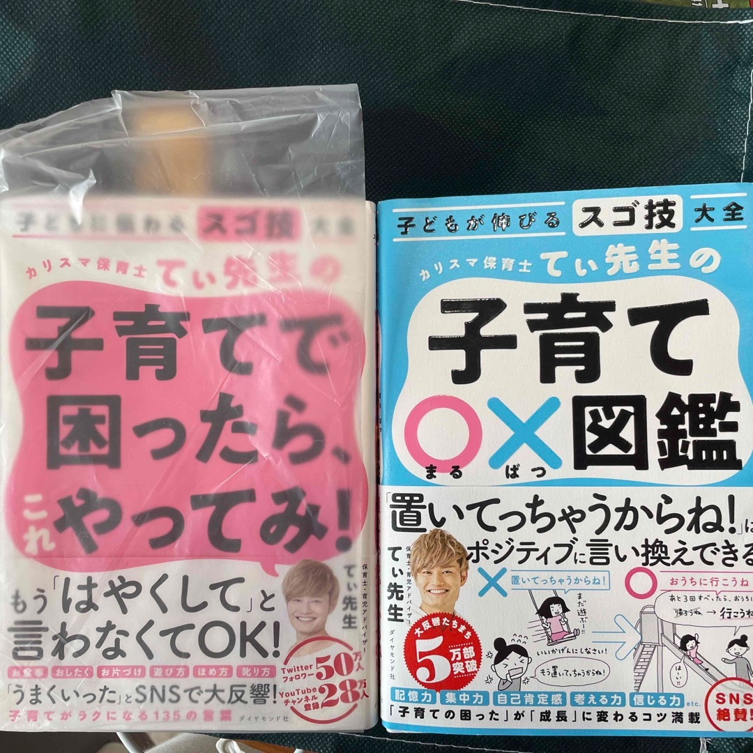 カリスマ保育士てぃ先生の子育て〇×図鑑 子どもが伸びるスゴ技大全 エンタメ/ホビーの雑誌(結婚/出産/子育て)の商品写真