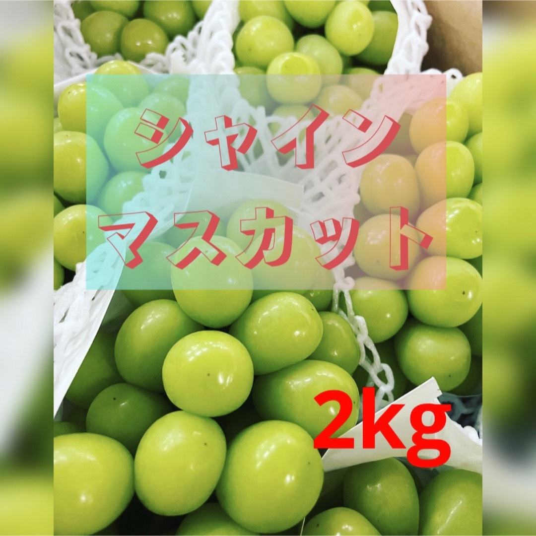 シャインマスカット　2kg　フルーツ