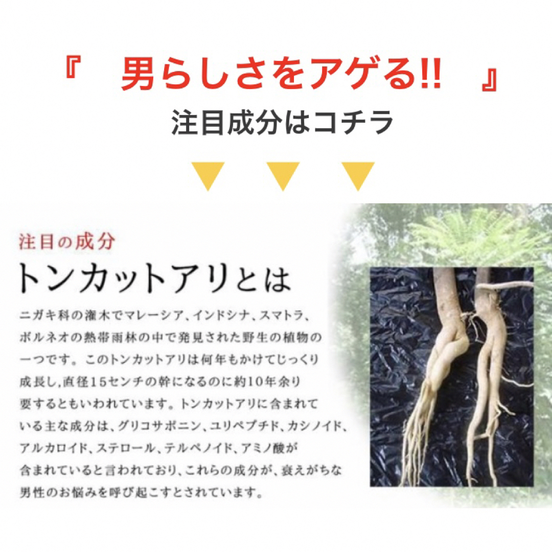 タフコンフィデンス サプリメント 約3ヵ月分  トンカットアリエキス 配合 マカ 食品/飲料/酒の加工食品(その他)の商品写真