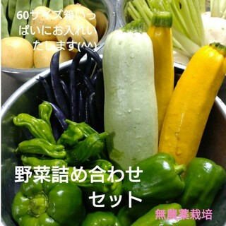 野菜詰め合わせセット　無農薬野菜（60サイズ）(野菜)