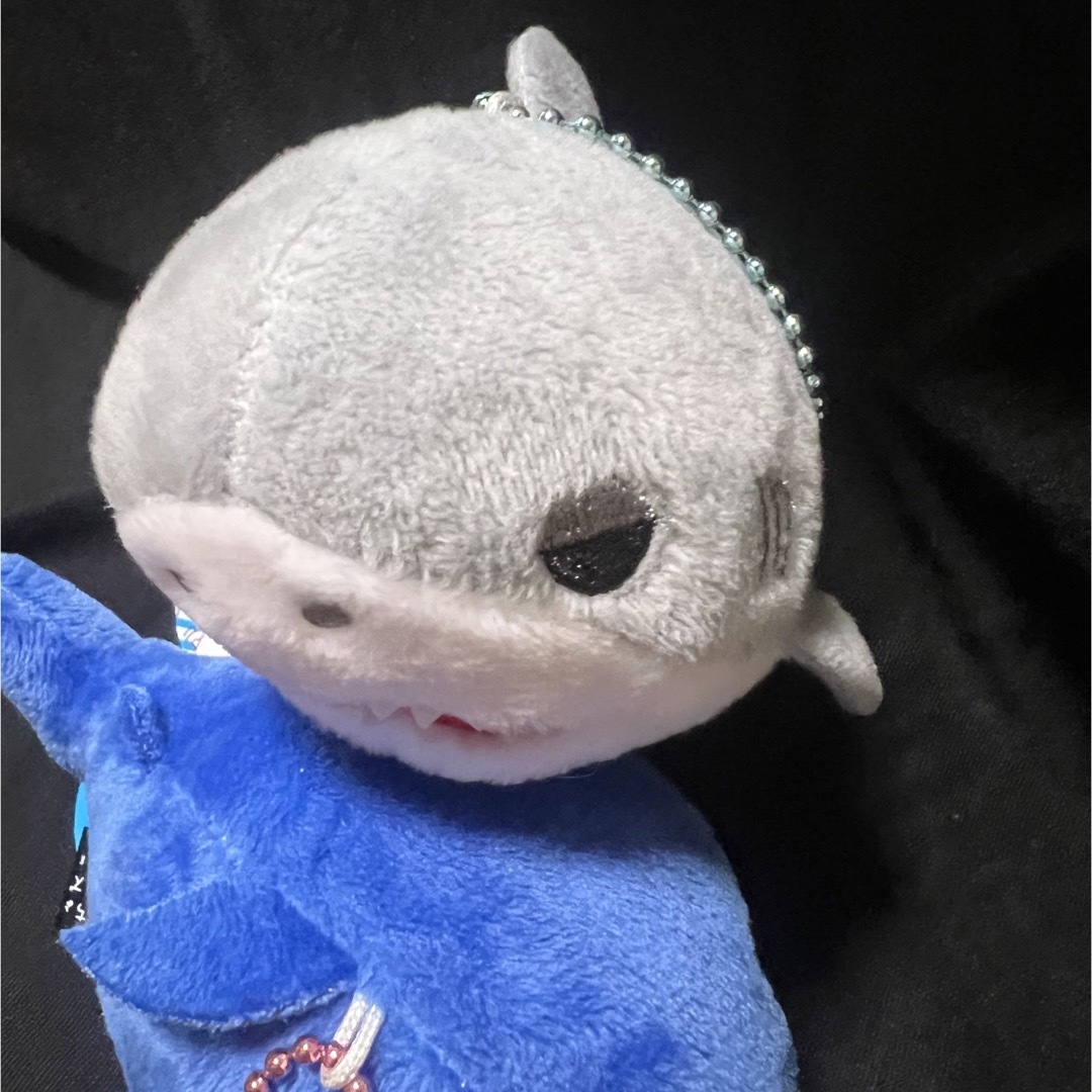 ふとっちょシリーズ　SHARK エンタメ/ホビーのおもちゃ/ぬいぐるみ(ぬいぐるみ)の商品写真