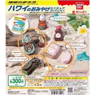 【匿名配送】地球の歩き方 ハワイのおみやげミニチュアコレクション 3種セット(模型/プラモデル)