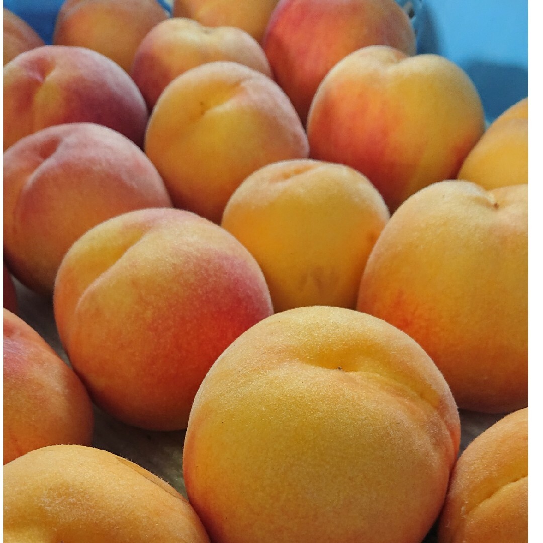売り切れゴメン！甘く香り良い人気のマンゴーピーチ２～４キロ☆　フルーツ