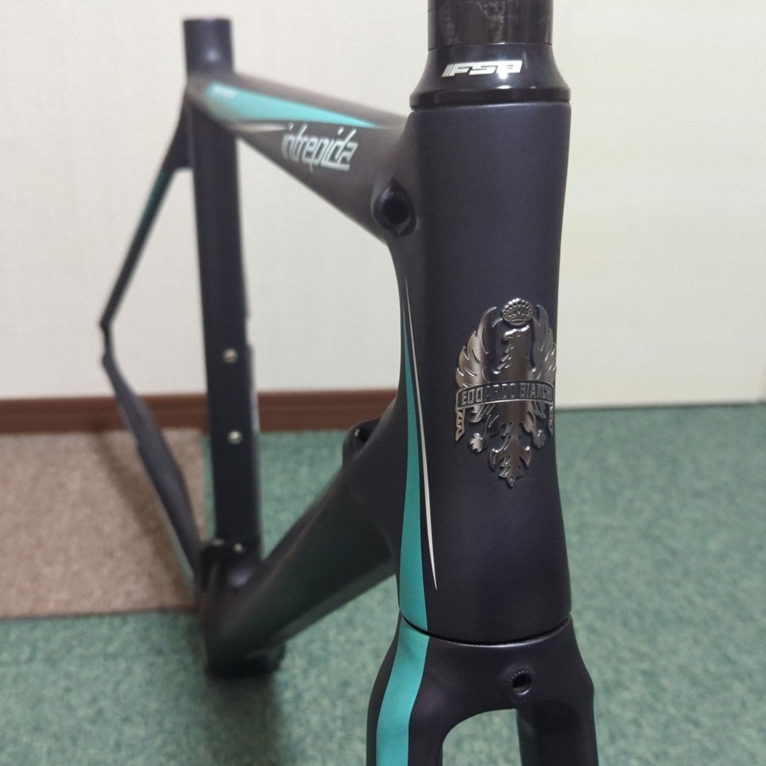 Bianchi(ビアンキ)のBianchi ビアンキ Intrepida イントレピダ 51サイズ フレーム スポーツ/アウトドアの自転車(自転車本体)の商品写真