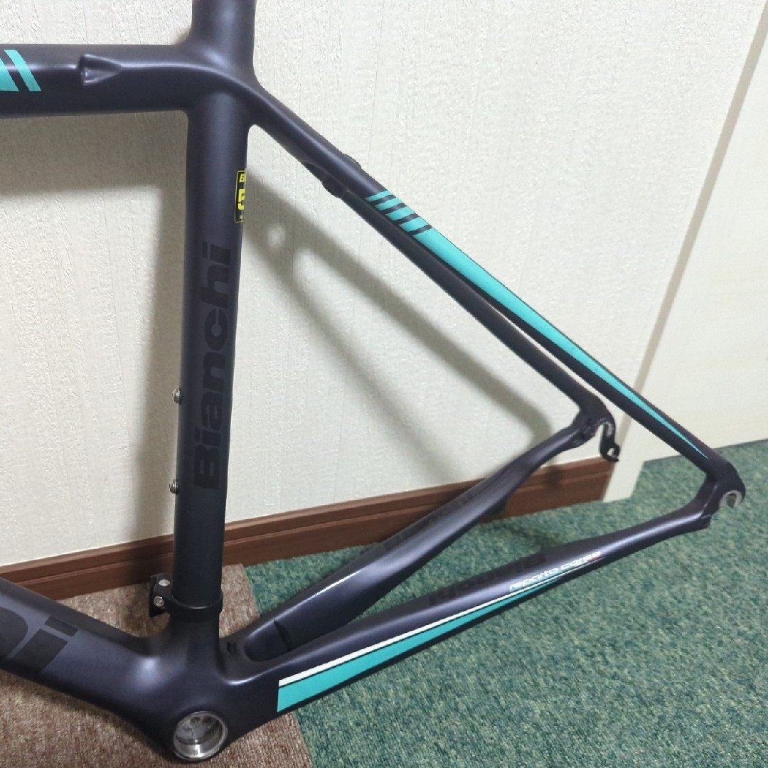 Bianchi(ビアンキ)のBianchi ビアンキ Intrepida イントレピダ 51サイズ フレーム スポーツ/アウトドアの自転車(自転車本体)の商品写真