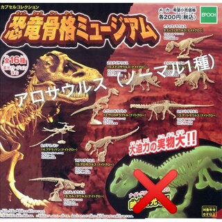 エポック(EPOCH)の🉐【単品】「骨格ミュージアム 恐竜編 2003」アロササウルス  恐竜(その他)