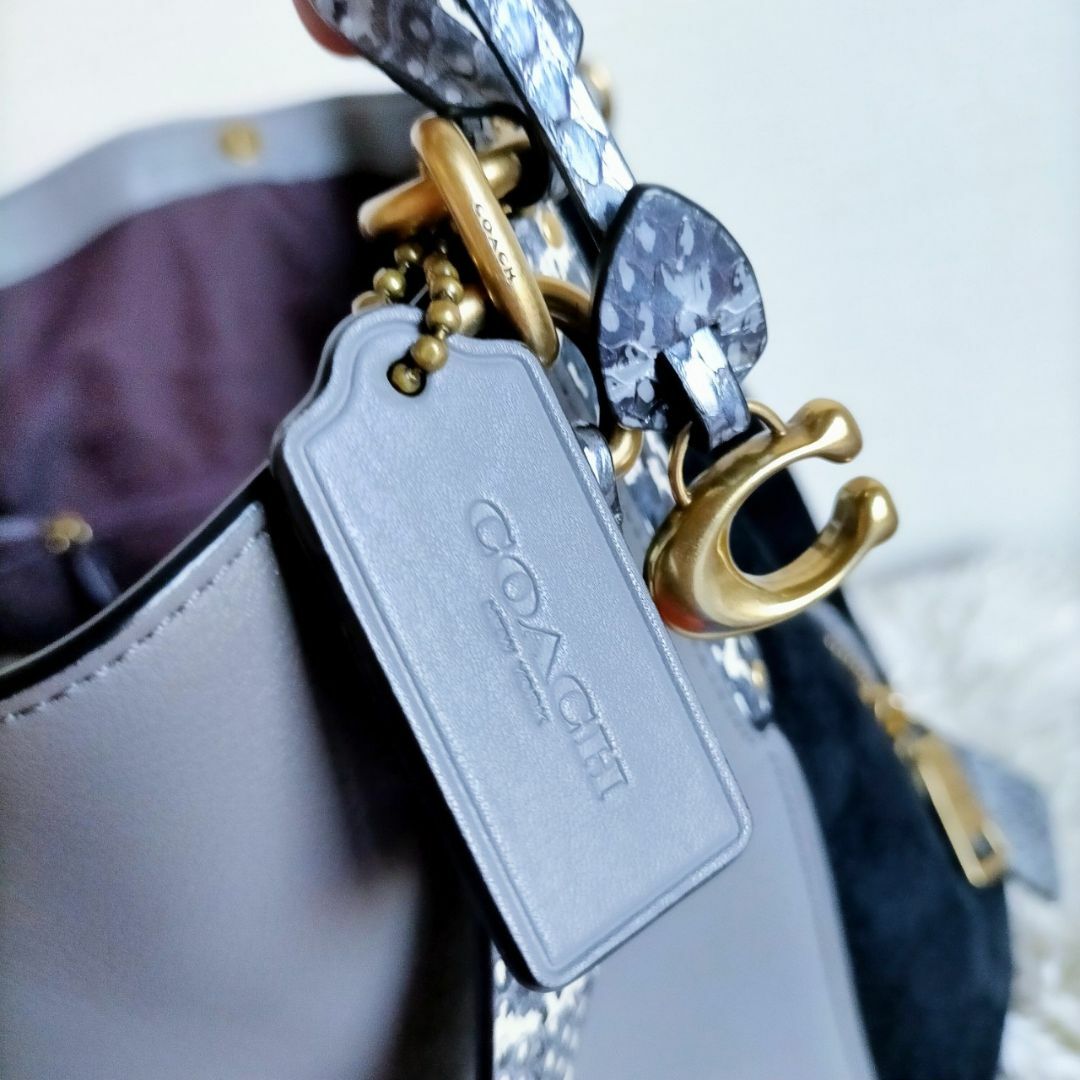 【新品未使用】COACH 激レア ショルダー バッグ ダルトン ヘビ